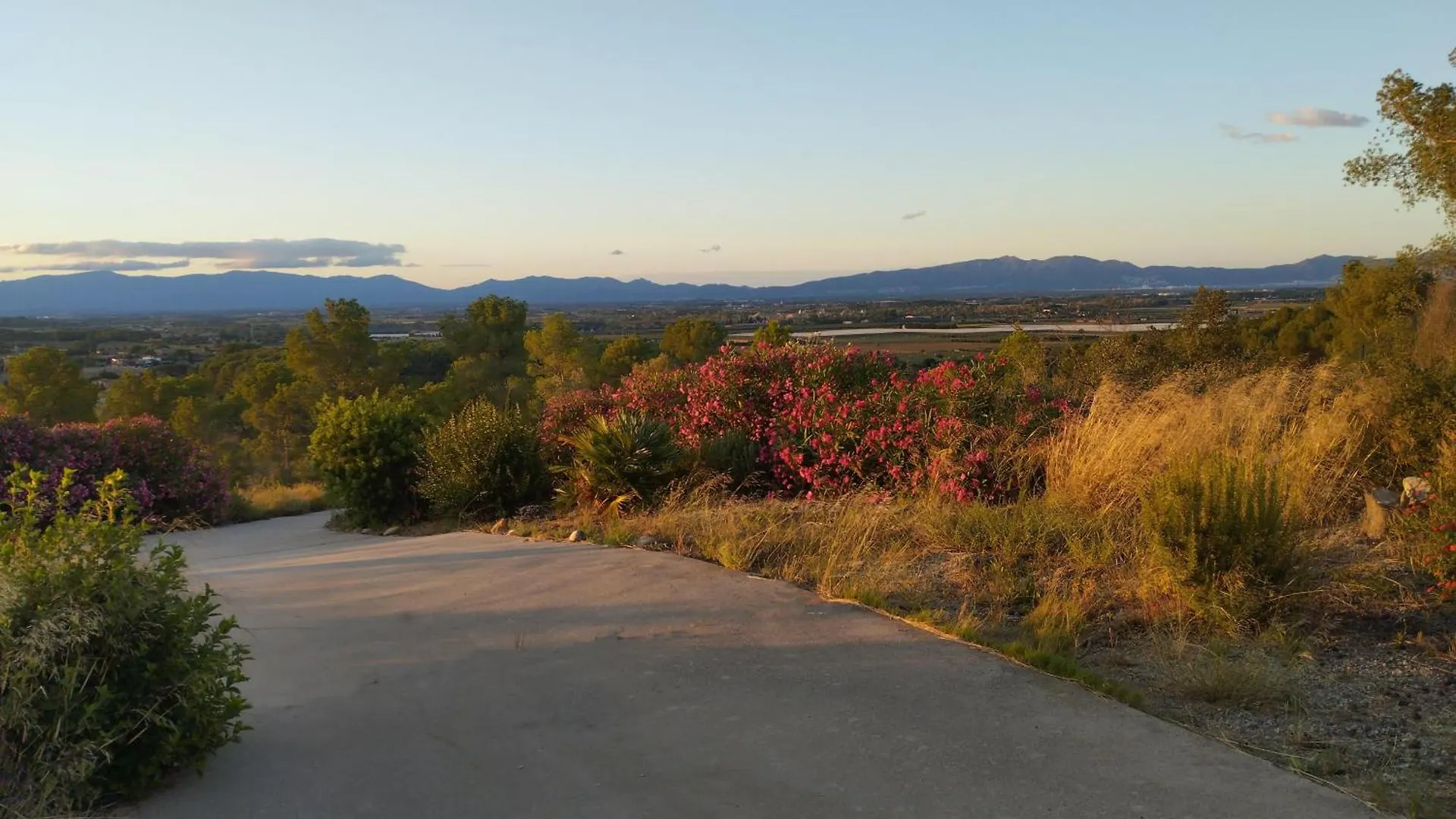 Hotel Fundacio L'Olivar Ventallo Bed & Breakfast